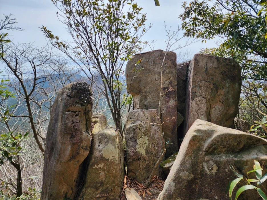 KakaoTalk_20230331_035853682_17.jpg?type=w1