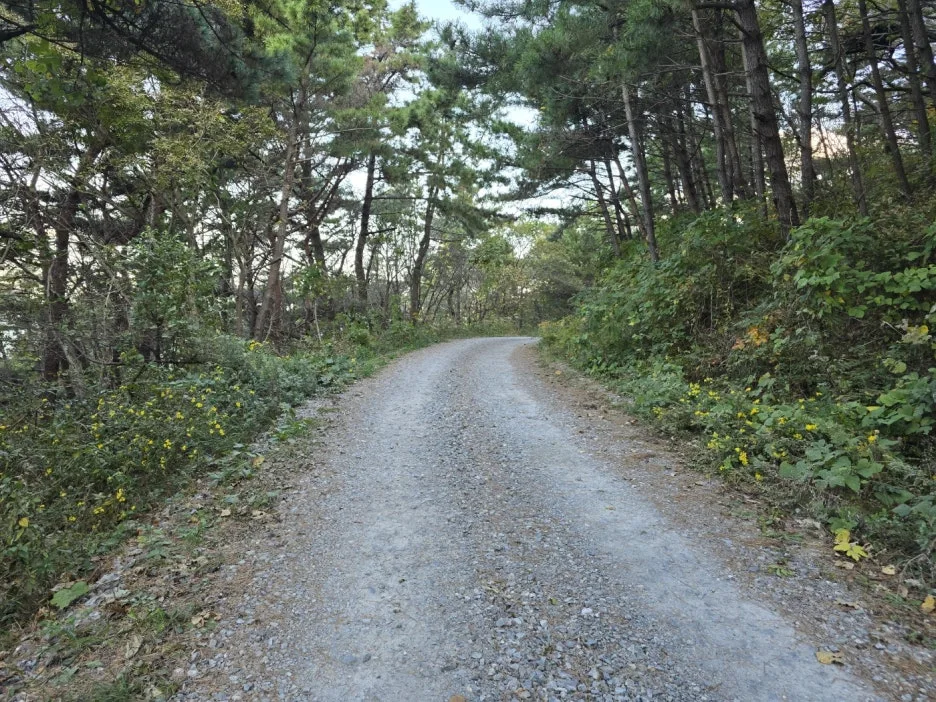 KakaoTalk_20241107_045832646_04.jpg?type=w1