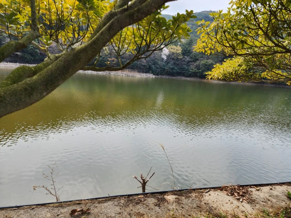 KakaoTalk_20230331_035853682_23.jpg?type=w1