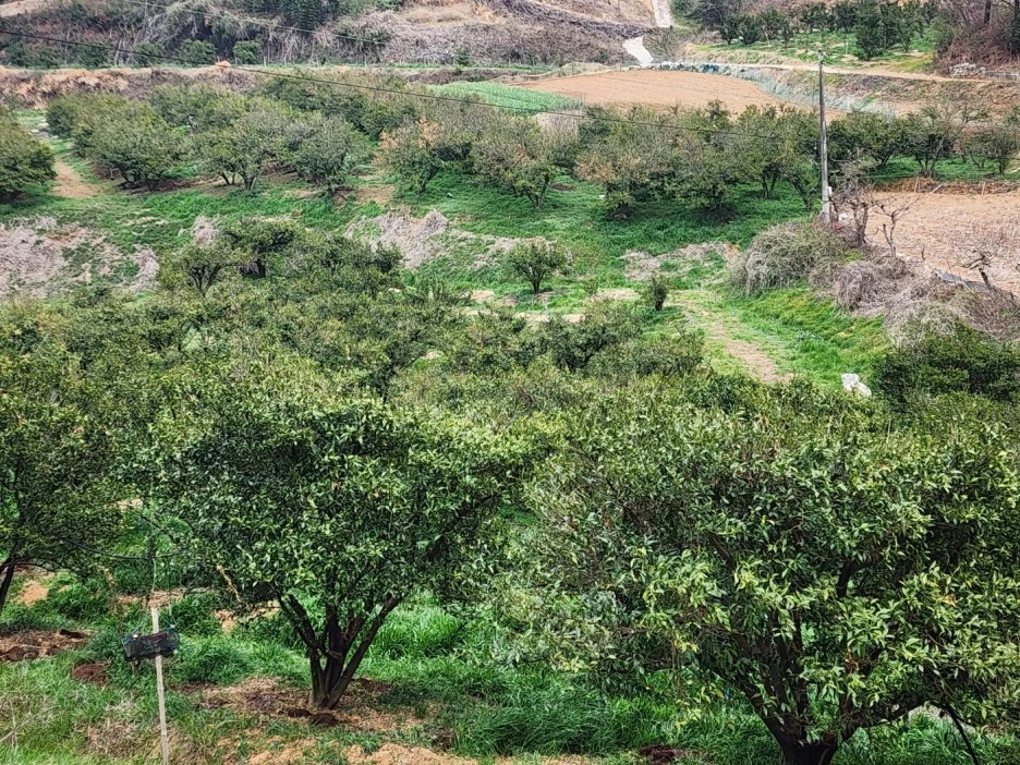 KakaoTalk_20230323_021520355_15.jpg?type=w1