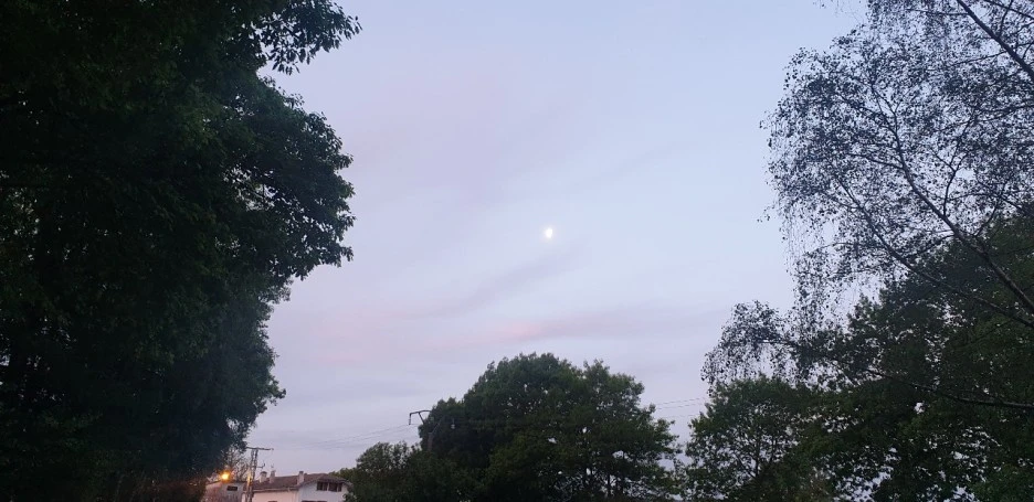 KakaoTalk_20220521_082725469.jpg?type=w1