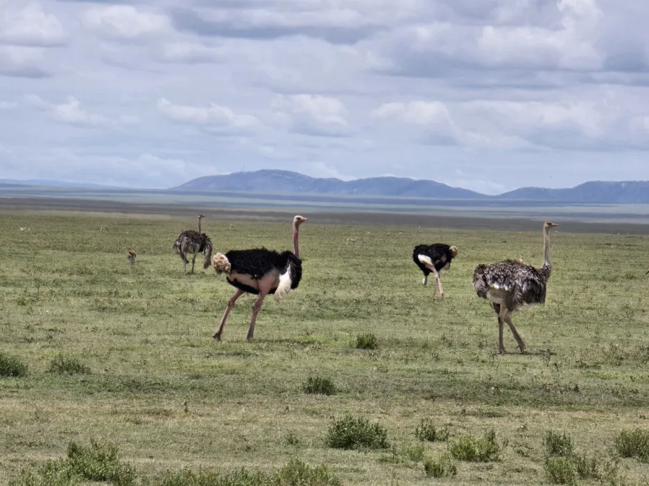 KakaoTalk_20250405_134443007_05.jpg?type=w1