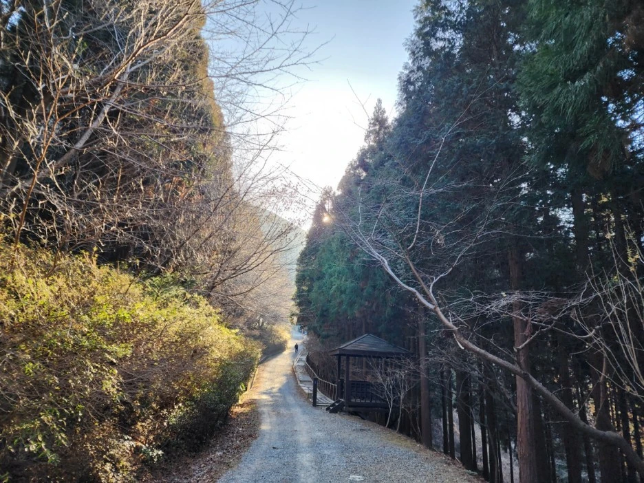 KakaoTalk_20230205_061347440_02.jpg?type=w1