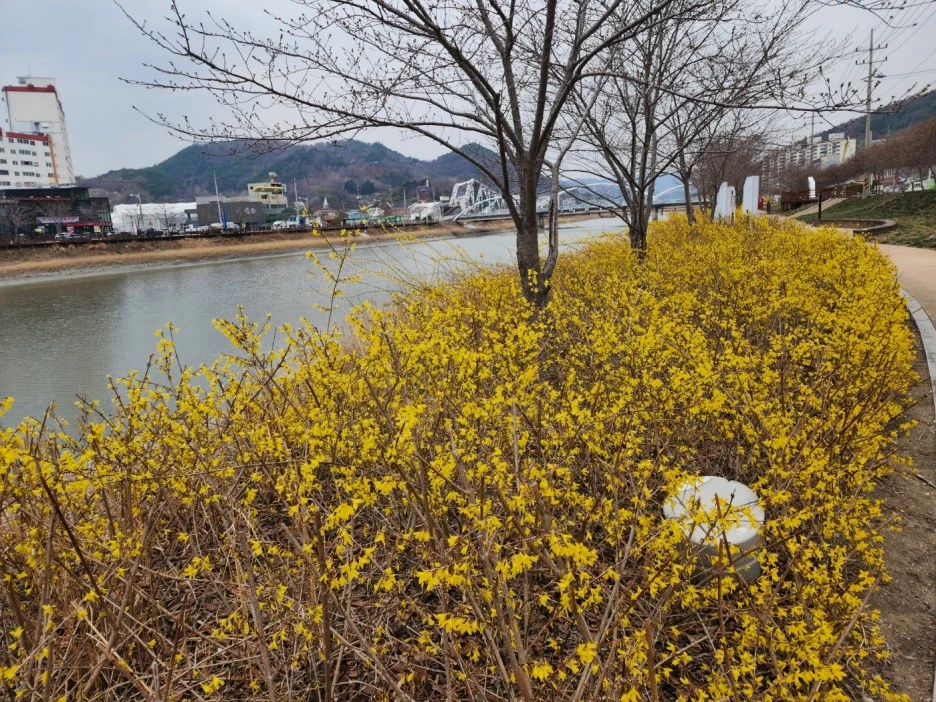 KakaoTalk_20230318_053254690_13.jpg?type=w1