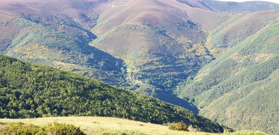 KakaoTalk_20220608_014605650_04.jpg?type=w1