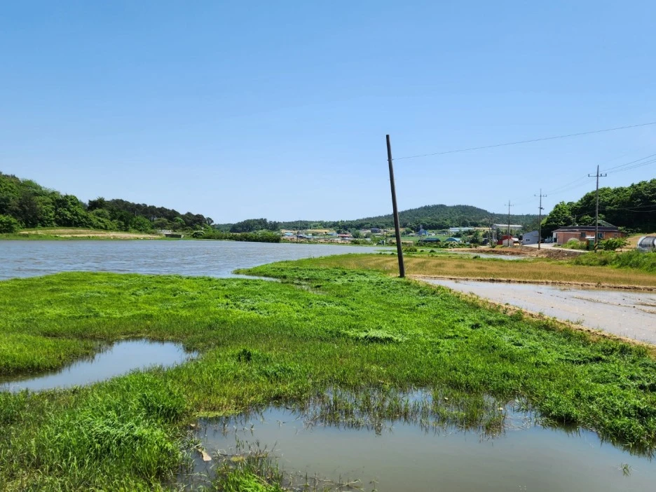 KakaoTalk_20240511_041926496_28.jpg?type=w1