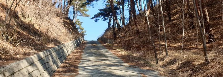 SE-a672dd2e-2bf4-4bf0-a0fc-e5278d9f58a0.jpg?type=w1