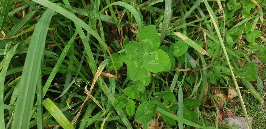 KakaoTalk_20220621_021007134_06.jpg?type=w1