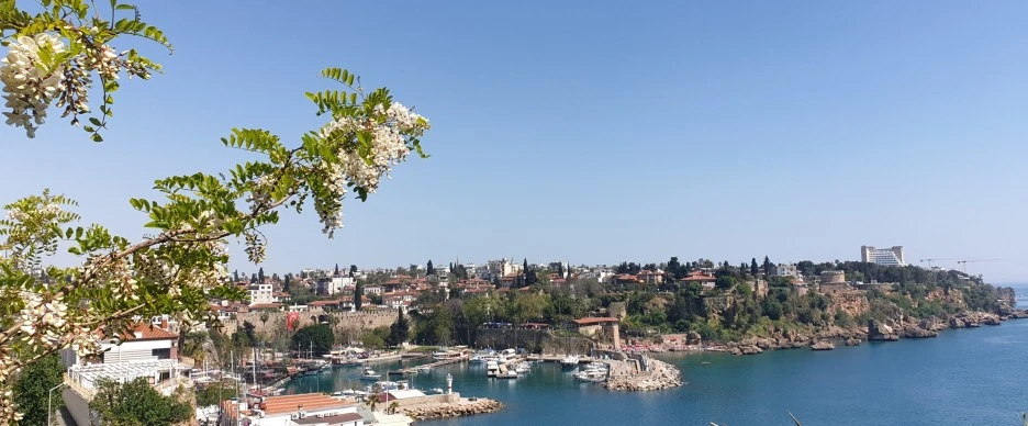 SE-c0187d5a-0d49-4249-892f-b83c2bf3e36e.jpg?type=w1