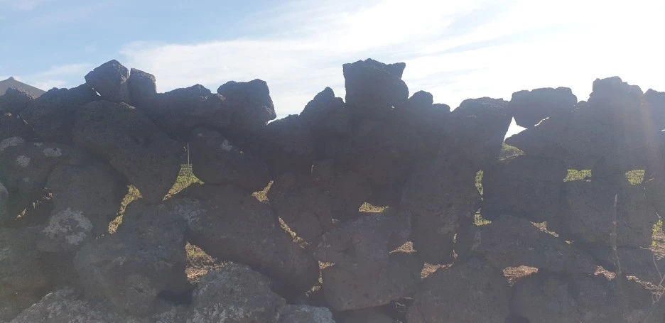 KakaoTalk_20220827_045330099_10.jpg?type=w1