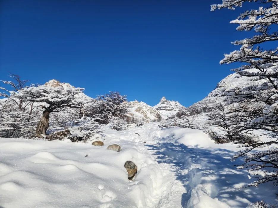 KakaoTalk_20240809_044830248_29.jpg?type=w1