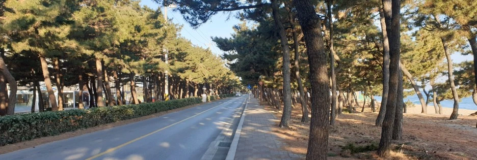 SE-63d9b181-96b4-41ab-9cca-1745cdb32ac3.jpg?type=w1