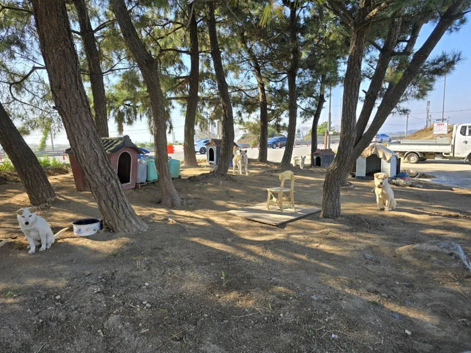 KakaoTalk_20241117_054454078.jpg?type=w1