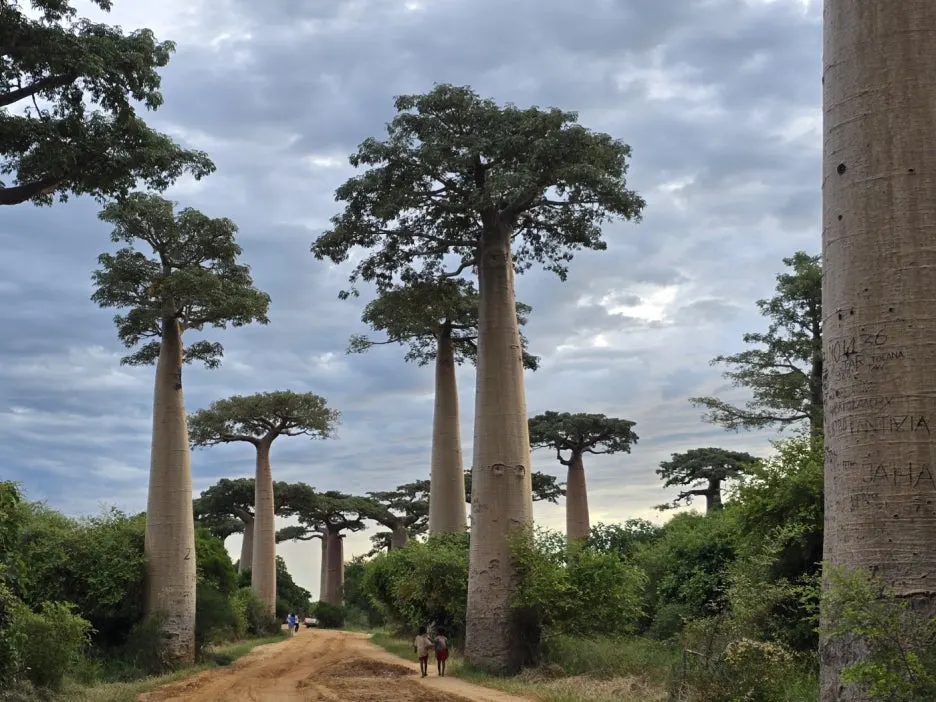 KakaoTalk_20250414_130307731_17.jpg?type=w1