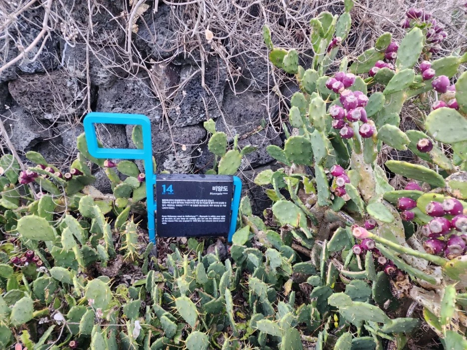 KakaoTalk_20221228_065101114_03.jpg?type=w1