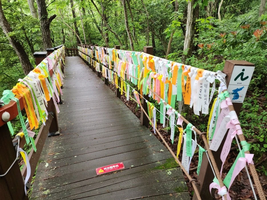 KakaoTalk_20240508_155917921_06.jpg?type=w1