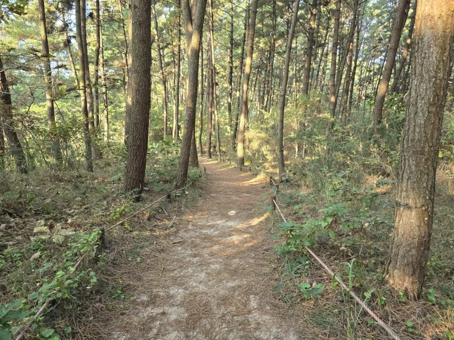 KakaoTalk_20241101_225213180_09.jpg?type=w1