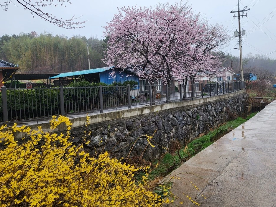 KakaoTalk_20230326_043739862_05.jpg?type=w1