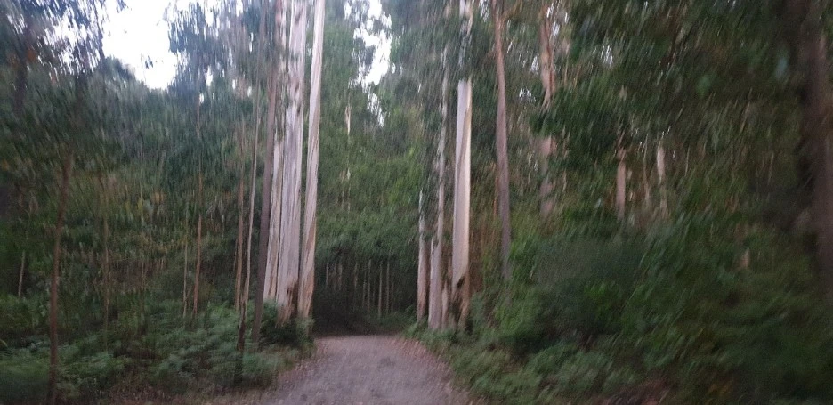 KakaoTalk_20220615_215355660_01.jpg?type=w1