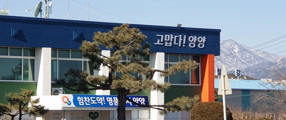 SE-98c85a8f-32c5-44a7-a8a3-93ee45fdb993.jpg?type=w1