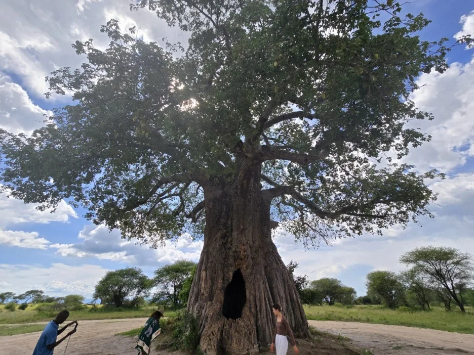 KakaoTalk_20250405_112215504_26.jpg?type=w1