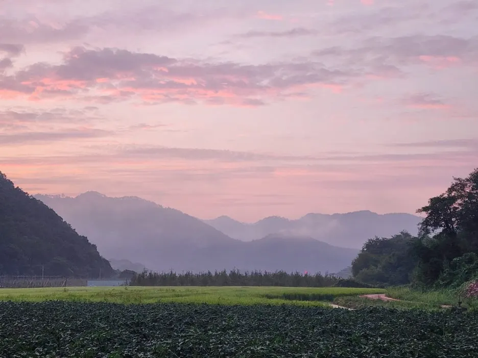 KakaoTalk_20240921_040252263_02.jpg?type=w1