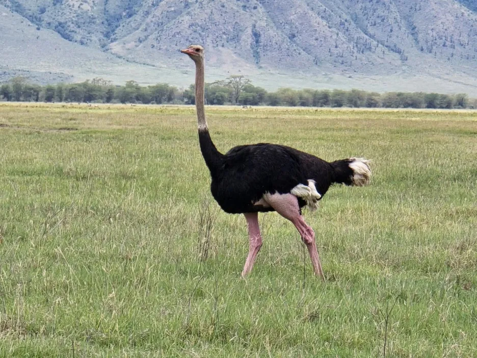 KakaoTalk_20250405_153815245_03.jpg?type=w1