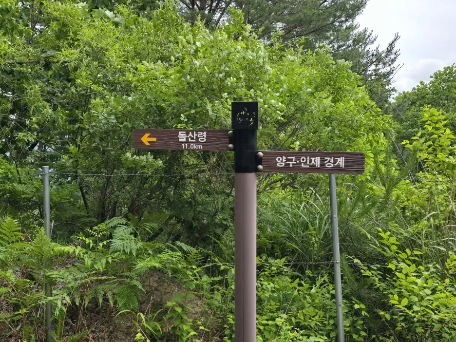 KakaoTalk_20250622_033408426_03.jpg?type=w1