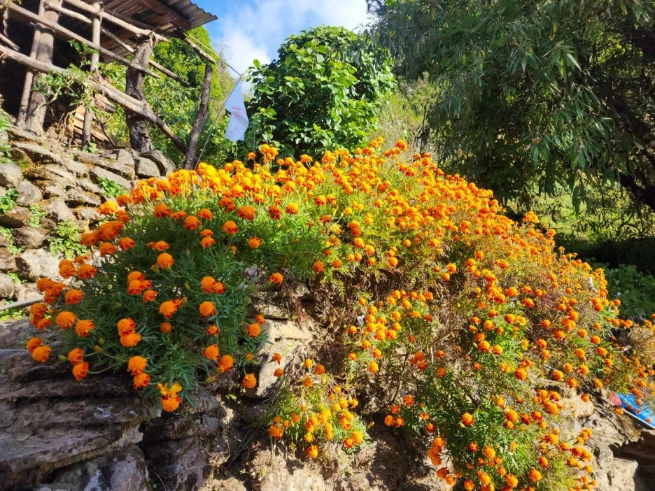 KakaoTalk_20221117_072939349_05.jpg?type=w1