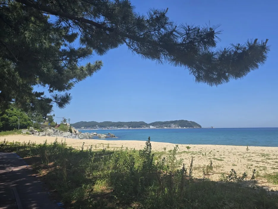 KakaoTalk_20250623_164954258_09.jpg?type=w1