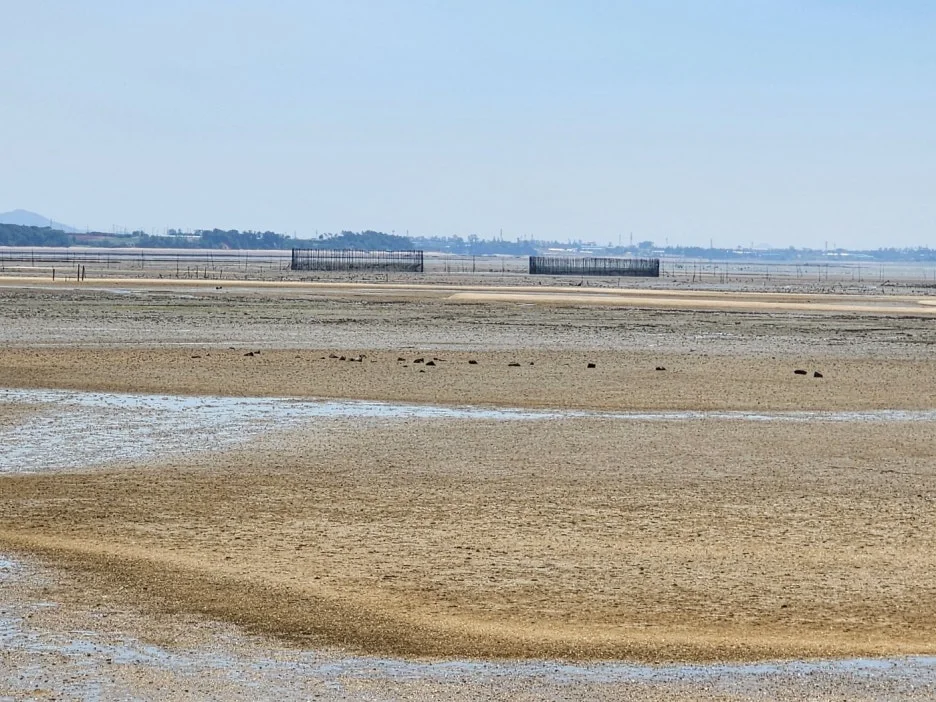 KakaoTalk_20240528_210413994.jpg?type=w1