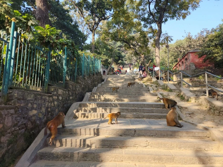 KakaoTalk_20221123_122408806_04.jpg?type=w1