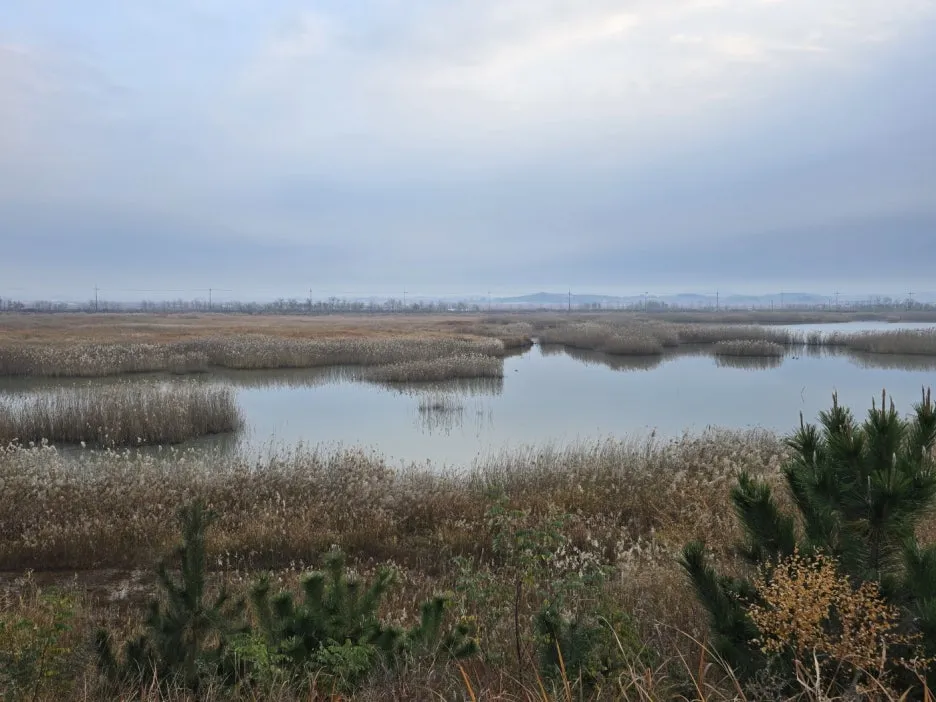 KakaoTalk_20241121_163313957_04.jpg?type=w1