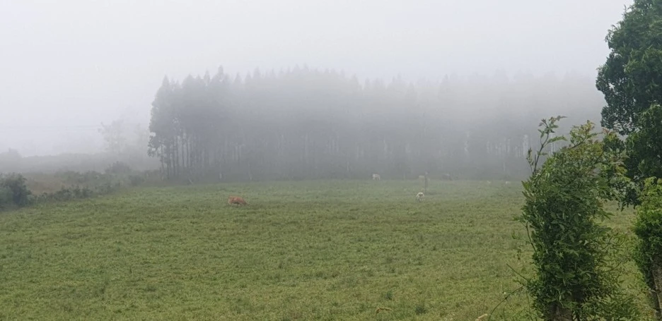 KakaoTalk_20220612_223656543.jpg?type=w1