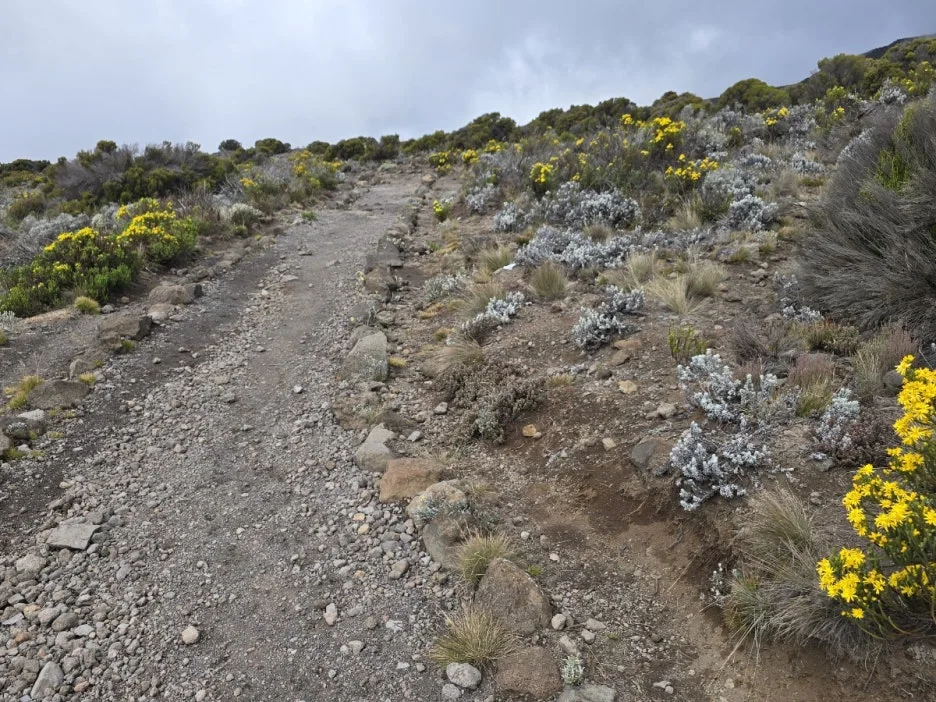 KakaoTalk_20250405_061501131_09.jpg?type=w1