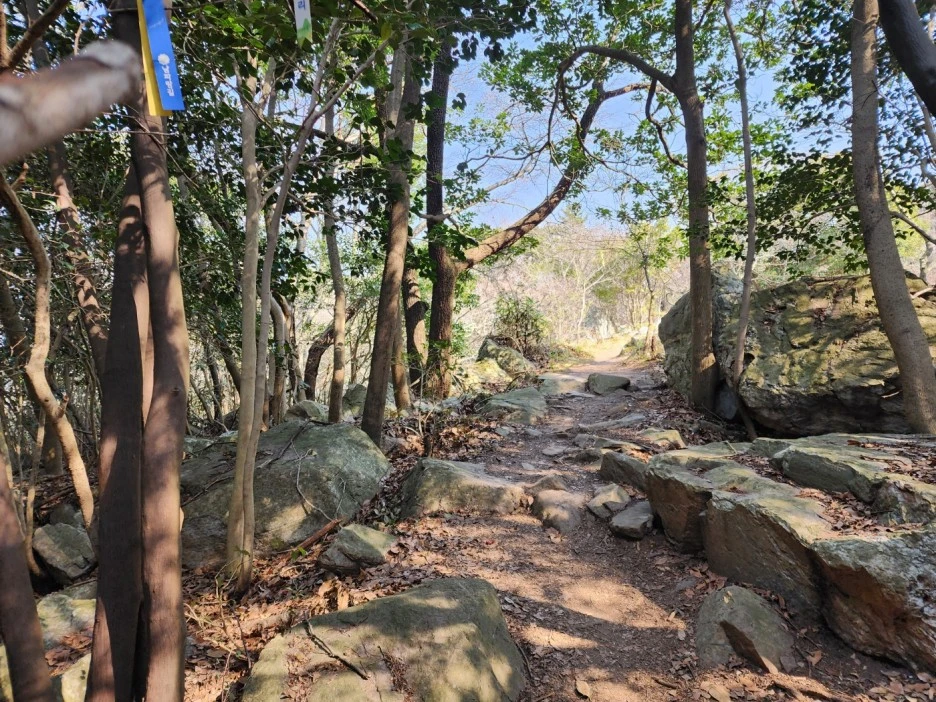 KakaoTalk_20230402_050707846_07.jpg?type=w1