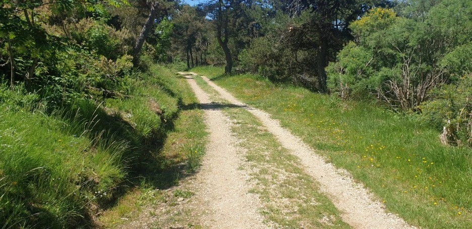 KakaoTalk_20220610_013844970_02.jpg?type=w1