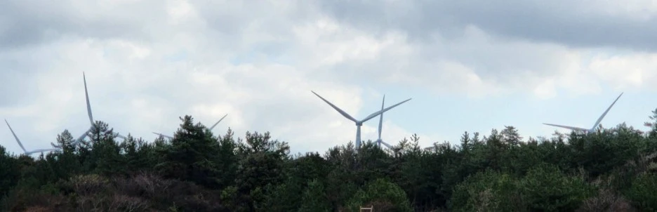 SE-f1efa311-4f31-40c1-a9a2-0e92ab377a20.jpg?type=w1