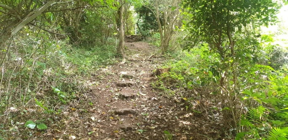 KakaoTalk_20220831_114810655_08.jpg?type=w1