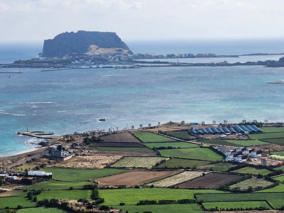 KakaoTalk_20221230_044541551_12.jpg?type=w1