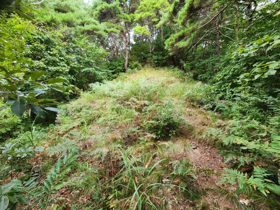 KakaoTalk_20240916_061643357_04.jpg?type=w1