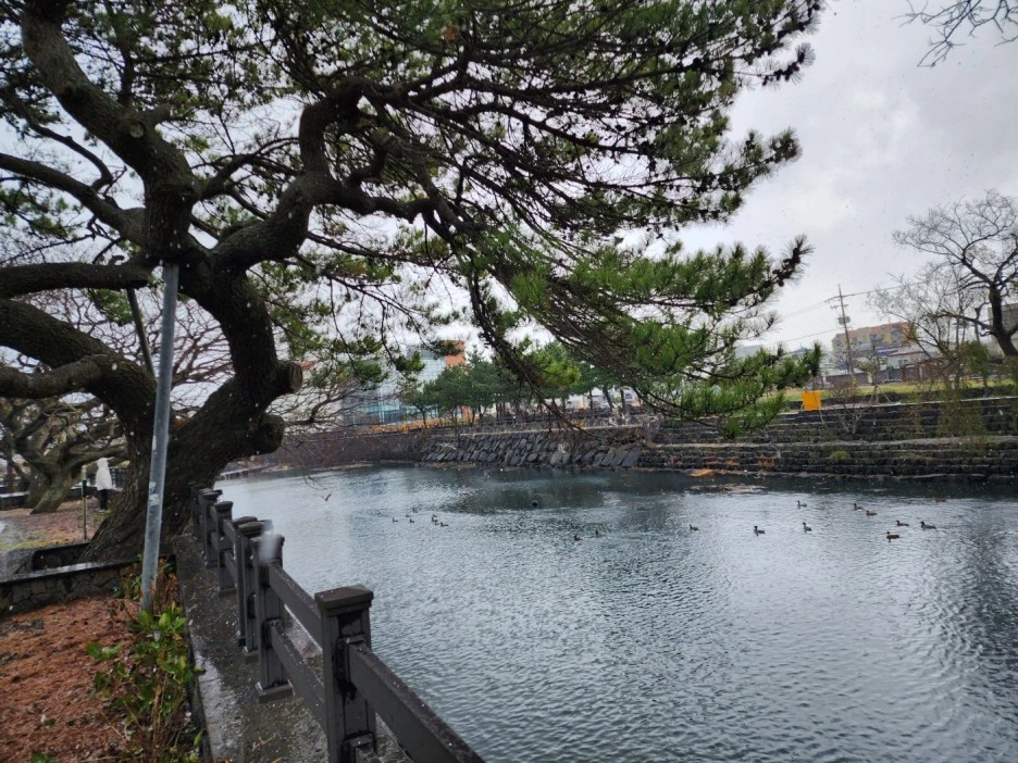 KakaoTalk_20221228_163817525_10.jpg?type=w1