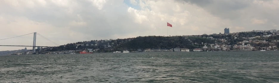 SE-8a4c6681-141c-4ce5-aa22-3df81b1c13d4.jpg?type=w1