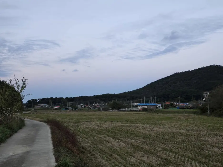 KakaoTalk_20241105_163345460.jpg?type=w1