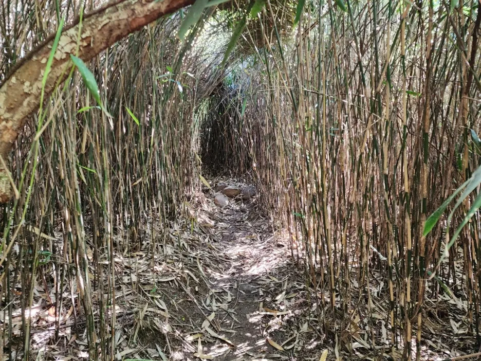 KakaoTalk_20240602_164520524_10.jpg?type=w1