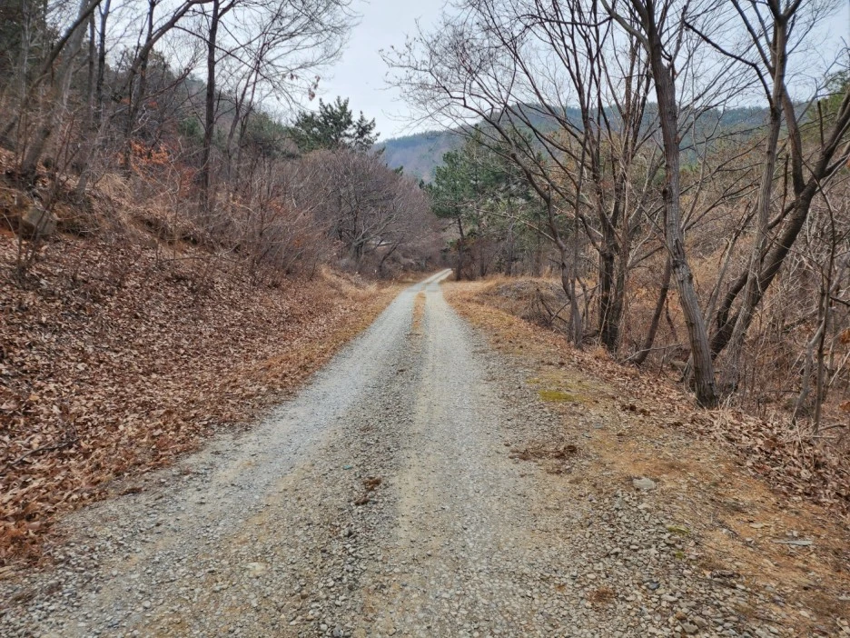 KakaoTalk_20230208_043102243_05.jpg?type=w1