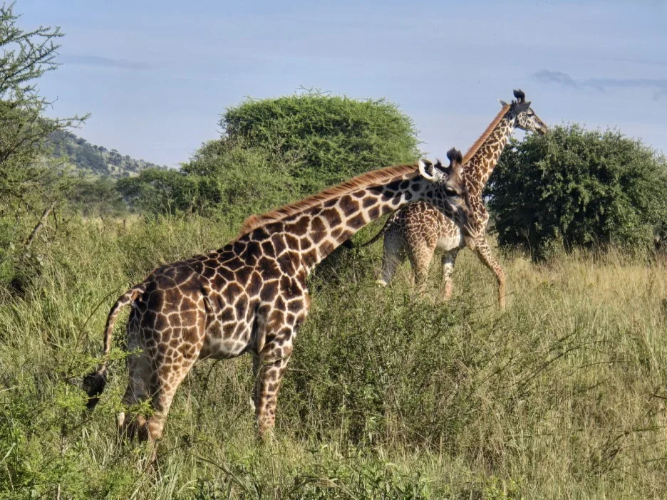 KakaoTalk_20250405_135250372_03.jpg?type=w1