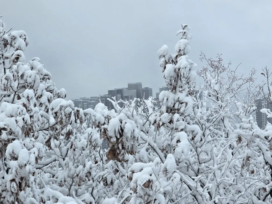 KakaoTalk_20241129_050938052_06.jpg?type=w1