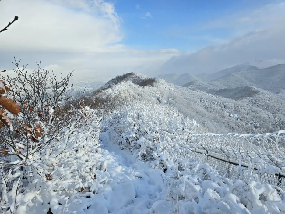 KakaoTalk_20241129_050938052_11.jpg?type=w1