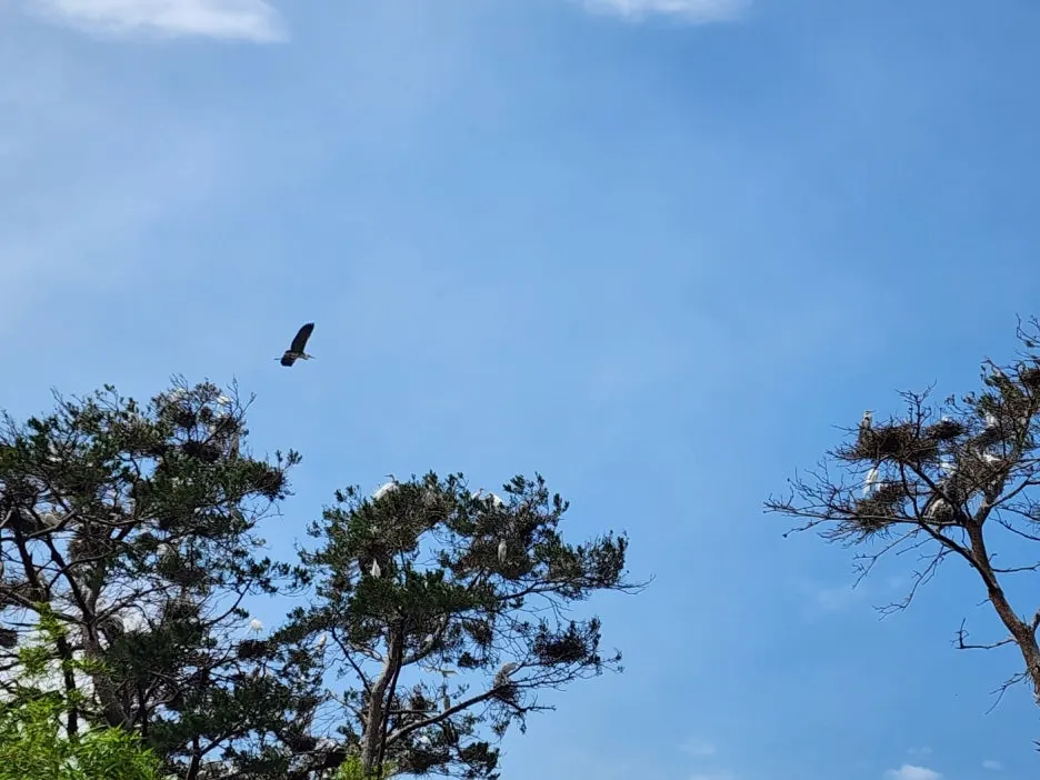 KakaoTalk_20240607_201223809_22.jpg?type=w1